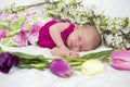 Baby girl in pink inside of basket with spring flowers. Royalty Free Stock Photo