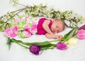 Baby girl in pink inside of basket with spring flowers. Royalty Free Stock Photo