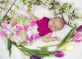 Baby girl in pink inside of basket with spring flowers. Royalty Free Stock Photo