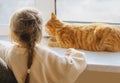 A baby girl and a red cat are waiting. A little 4-year-old girl with a pigtail looks out the window with a striped cat, a view fro Royalty Free Stock Photo