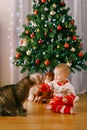 Baby girl in a red-and-white knitted costume is petting a cat in front of a Christmas tree Royalty Free Stock Photo