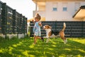 Baby girl running with beagle dog in backyard in summer day. Domestic animal with children concept Royalty Free Stock Photo