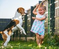 Baby girl running with beagle dog in backyard in summer day. Domestic animal with children concept