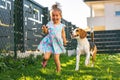 Baby girl running with beagle dog in backyard in summer day. Domestic animal with children concept Royalty Free Stock Photo