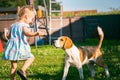 Baby girl running with beagle dog in backyard in summer day. Domestic animal with children concept Royalty Free Stock Photo