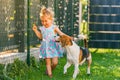 Baby girl running with beagle dog in backyard in summer day. Domestic animal with children concept Royalty Free Stock Photo