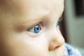 Baby girl`s face close up. Cute toddler with bright blue eyes. Royalty Free Stock Photo