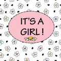 Baby girl. It`s a girl.Baby shower greeting card. Colorful Daisy flower banner