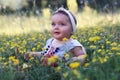 Baby girl sitting on the grass with dandelion flowers. Royalty Free Stock Photo