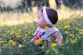 Baby girl sitting on the grass with dandelion flowers. Royalty Free Stock Photo