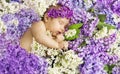 Baby Girl Sleep in Lilac Flowers, Sleeping Newborn Child