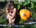 Baby, girl, summer, garden, Sunny day, orange vegetables, yellow, pumpkin, big crop, plant growth, close up, grass, warm, autumn, Royalty Free Stock Photo