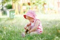 baby girl, surrounded by the beauty of the cherry blossom trees, happily munches on freshly picked cherries Royalty Free Stock Photo