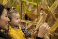 Baby girl touching corn Royalty Free Stock Photo