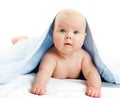 Baby girl in towel Royalty Free Stock Photo