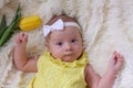 baby girl, tulip, spring, yellow, bow, flower Royalty Free Stock Photo