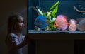 Baby girl watching fish swiming in big fishtank, aquarium Royalty Free Stock Photo