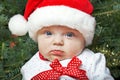 Baby girl wearing a Santa Claus hat and Christmas tree Royalty Free Stock Photo