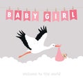 baby girl welcome greeting card with stork and party flag Royalty Free Stock Photo