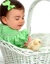 Baby Girl and Yellow Chicken Royalty Free Stock Photo