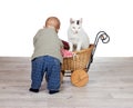 Baby giving a cat a ride in a pram