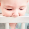 Baby gnaws at the edge crib during teething itching. Funny child scratching his teeth on the rail bed, age six months Royalty Free Stock Photo