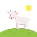 Baby goat standing on a green meadow. Cute vector illustration