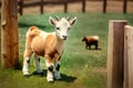 Baby goat standing next to a wooden fence, generative ai illustration image Royalty Free Stock Photo