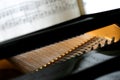 Baby grand piano detail Royalty Free Stock Photo