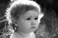 Baby in grass at sunny summer evening. Serious child outdoors. Baby face close up. Funny little child closeup portrait Royalty Free Stock Photo