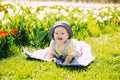 Baby in green grass of tulip field at springtime Royalty Free Stock Photo