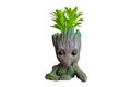 Baby groot pot flower.