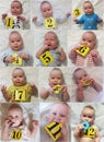 Baby growth process during the year