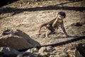 A baby Hamadryas Baboon eating food in the outdoors Royalty Free Stock Photo