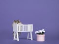 Baby hamster in baby room on purple Royalty Free Stock Photo