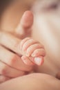 Baby hand gently holding adult's finger Royalty Free Stock Photo