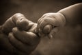 Baby hand holding mother finger Royalty Free Stock Photo