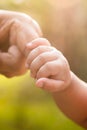 Baby hand holding mother finger Royalty Free Stock Photo