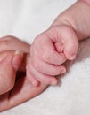 Baby hand holding mothers finger Royalty Free Stock Photo