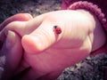 Baby hand and ladybug creeping up