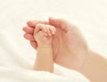 Baby Hand and Mother Hands, Woman Holding Newborn, New Born Kid Royalty Free Stock Photo