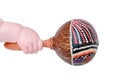 Baby hand and percussion musical instrument, close-up, isolated on a Royalty Free Stock Photo