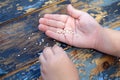 baby hands with sesame seeds on wooden Royalty Free Stock Photo