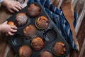 Baby hands taking a berry muffin from tray. Homemade pastry