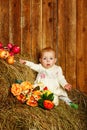 Baby in hay Royalty Free Stock Photo