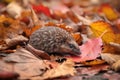 a baby hedgehog scurrying through a pile of autumn leaves, its spiny back in full view