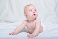 Baby on her tummy. Looking up with surprised expression. White background Royalty Free Stock Photo