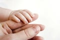 Baby holding adult finger Royalty Free Stock Photo
