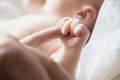 Baby holding a finger of his parent close-up Royalty Free Stock Photo