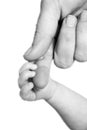 Baby holding hand Royalty Free Stock Photo